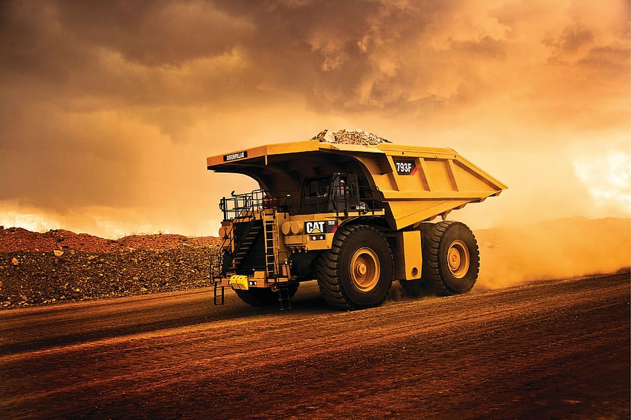 skw-dumper-cat-793f.jpg